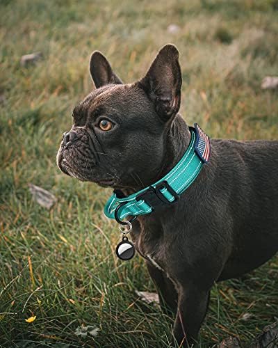 AUBELL Reflective Tactical Heavy Duty Dog Collar with Handle,Teal M