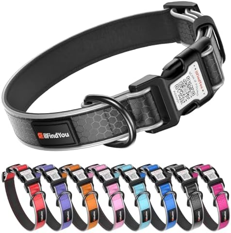Personalized Dog Collar with QR Code Dog Tag, Oxford Black L