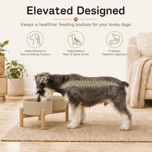 Havniva Ceramic Dog Bowls Elevated, Raised Dog Food Bowl for Small Dogs