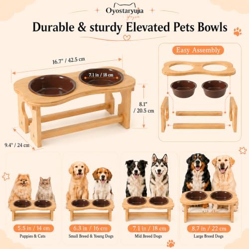 Bone Elevated 7.1" Ceramic Medium Dog Bowls, Raised Dog Bowl Stand
