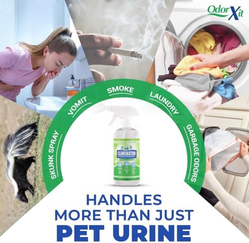 Pet Urine Odor Eliminator Spray, Ideal for Cat, Dog Poo and Urine Smell, Versatile & Natural Odor Neutralizer for Home and Outdoor Use, Ready to Use, 16oz