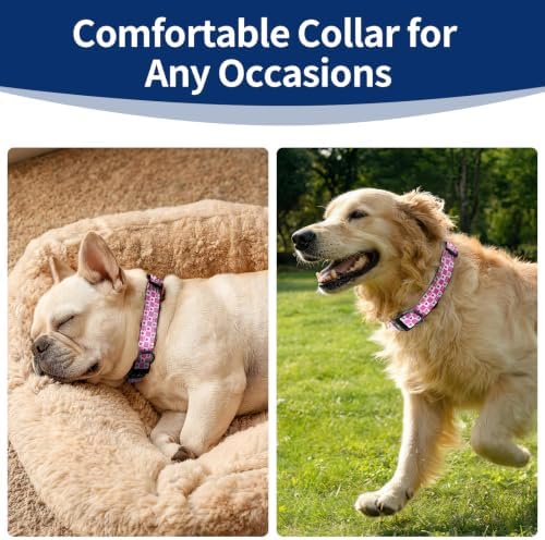 Kazazoo Medium Dog Collar, Reflective Nylon Collar,No Pull,Soft Neoprene Breathable & Quick Release Buckle Dog Collars for Bulldog,Husky,Border Collie Pink Flower-M