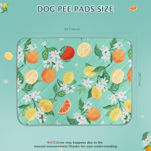 BVAGSS Washable Pee Pads for Dogs, 2 Pack Reusable Leakproof Puppy Wee Wee, Non-Slip Waterproof Pet Training, Super Absorbent Whelping XH081 (Green Lemon, 42X28 Inch)