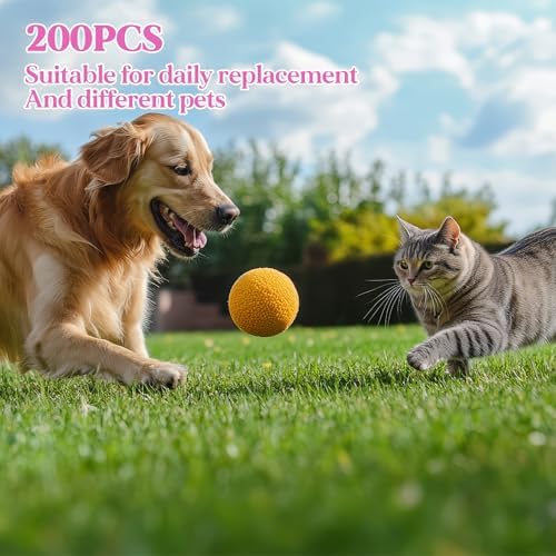 200Pcs Dog Toothbrushes, Dual Headed Dog Tooth Brush Bulk, Long Handle Plastic Pet Toothbrush for Large Small Dogs Cats Puppy Teeth Cleaning Dental Care Supplies 8 Colors