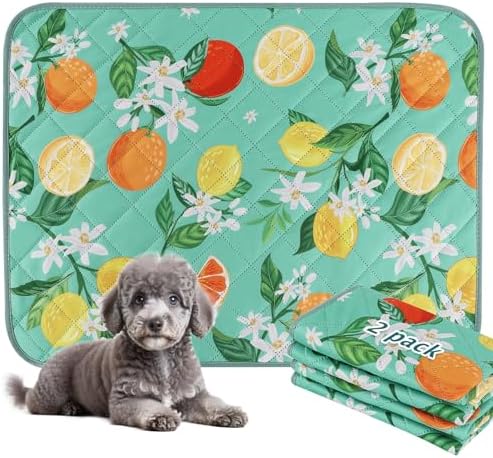 BVAGSS Washable Pee Pads for Dogs, 2 Pack Reusable Leakproof Puppy Wee Wee Pad, Non-Slip Waterproof Pet Training Pads, Super Absorbent Whelping Pads XH081 (Green Lemon, 24X18 Inch (Pack of 2))