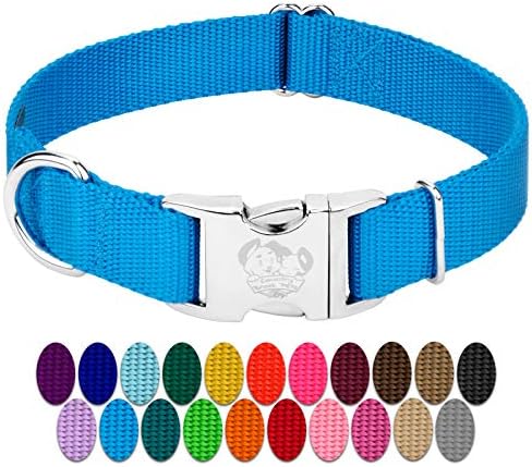 Country Brook Petz - Premium Nylon Dog Collar with Metal Buckle for Small Medium Large Breeds - 30+ Colors (Large, 1 Inch, Ice Blue)