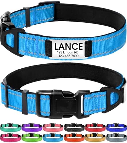 Joytale Personalized Dog Collar with Name Plate Built-in for Medium Dogs