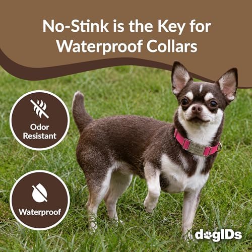 dogIDs Personalized Quick Release Waterprooft ScruffTag Dog Collar - Built-in Custom Laser Engraved Nameplate, Odor Resistant - Magenta, 5/8 in x 11-14 in (Fits Neck Sizes: 11-14 in)