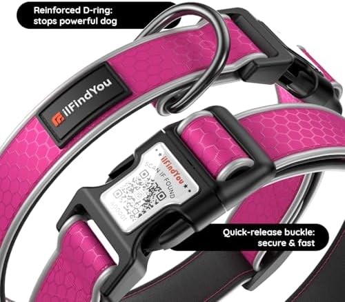 Personalized Dog Collar with QR Code Dog Tag, Oxford Rose Red M