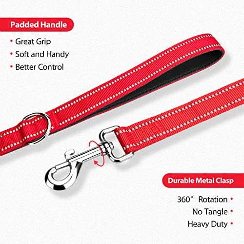 PHOEPET 5 Feet Dog Leash - Dual-Side Reflective - Soft Padded Handle