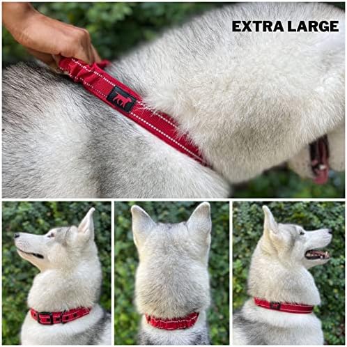 Tuff Pupper Heavy Duty Dog Collar with Handle | Ballistic Nylon Heavy Duty Collar | Padded Reflective Dog Collar with Adjustable Stainless Steel Hardware | Convenient Sizing for All Breeds