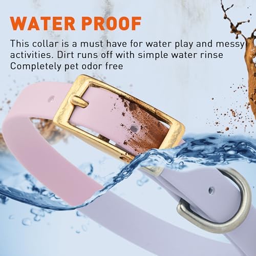 Viper Biothane Heavy Duty Waterproof Dog Collar Strong Coated Nylon Webbing w/Solid Brass Hardware Odor-Proof Easy to Clean High Performance Fits Small Medium or Large Dogs, Pastel Purple