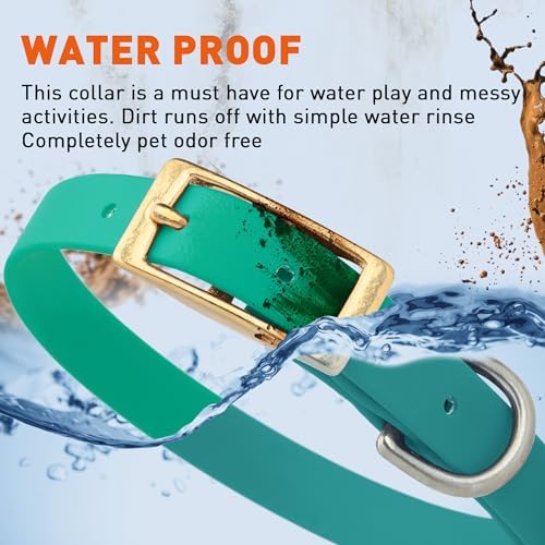Viper Biothane Heavy Duty Waterproof Dog Collar Strong Coated Nylon Webbing w/Solid Brass Hardware Odor-Proof Easy to Clean High Performance Fits Small Medium or Large Dogs, Teal