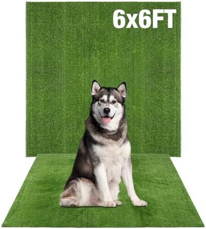 GLOBREEN Large Artificial Grass Outdoor for Dogs - 6 FT X 6 FT Fake Grass for Pets Potty Training - Turf Rug Roll for Kennel Playpen Whelping