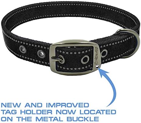 Max and Neo MAX Reflective Metal Buckle Dog Collar - We Donate a Collar to a Dog Rescue for Every Collar Sold (Medium, Purple)