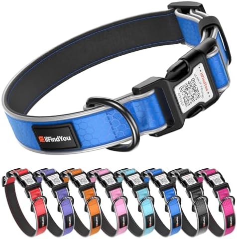 Personalized Dog Collar with QR Code Dog Tag, Oxford Blue S