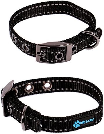 Max and Neo MAX Reflective Metal Buckle Dog Collar - We Donate a Collar to a Dog Rescue for Every Collar Sold (X-Small, Teal)
