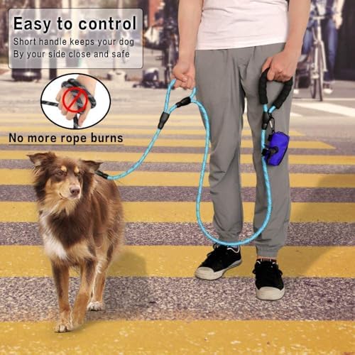 Plutus Pet Rope Dog Leash 6ft Long,Traffic Padded Two Handle,Heavy Duty,Reflective Double Handles Lead for Control Safety Training,Leashes for Large Dogs or Medium Dogs,Dual Handles Leads(Light Blue)