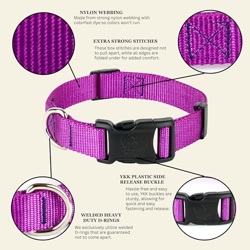 Country Brook Petz - Everyday Nylon Dog Collar for Large, Medium, and Small Dogs and Puppies - for Everyday Use in 30+ Colors (Extra Large, 1 Inch Wide, Bright Purple)