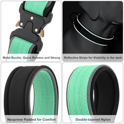 Plutus Pet Tactical Dog Collar, Reflective, Adjustable Heavy Duty Dog Collar, Soft Padded and Comfortable, for Small Medium and Large Dogs (Teal, S)