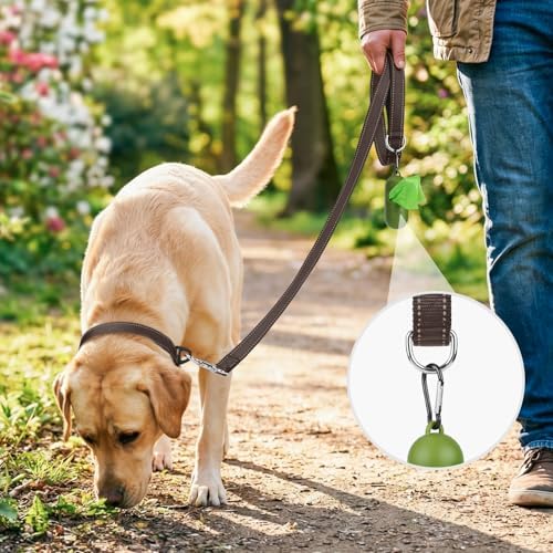 Joytale Reflective Dog Leash for Medium & Large Dogs, 5 FT x 1", Brown