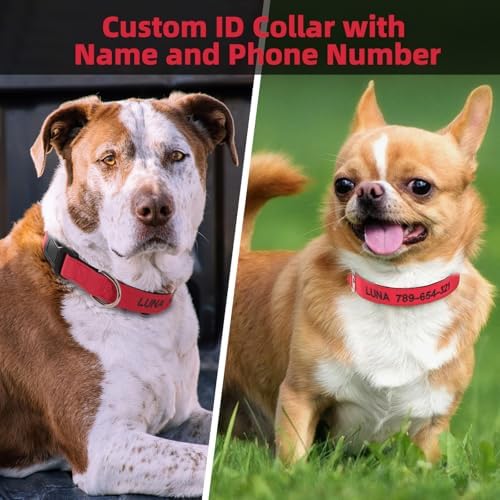 Kuley Personalized Dog Collar, Embroidered with Pet Name and Phone Number