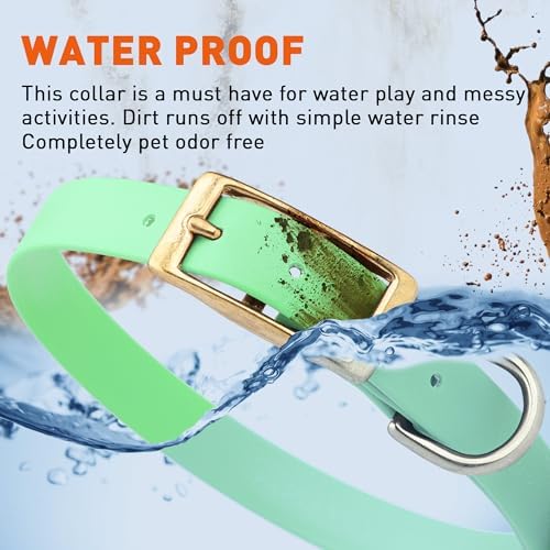 Viper Biothane Heavy Duty Waterproof Dog Collar Strong Coated Nylon Webbing w/Solid Brass Hardware Odor-Proof for Easy Care to Clean High Performance Fits Small Medium or Large Dogs, Sea Foam Green
