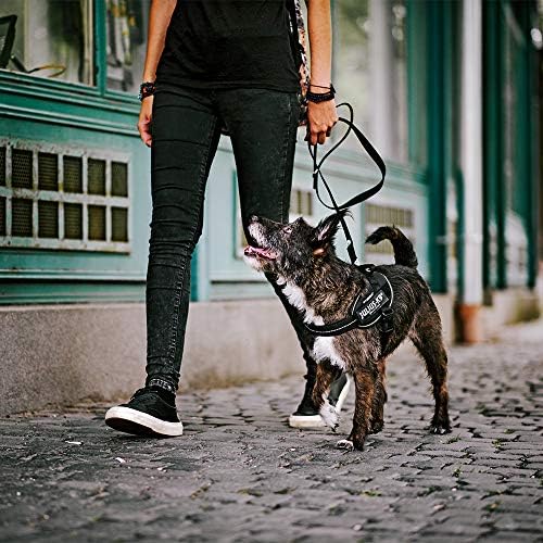 Julius-K9, 16IDC-for-3, IDC Powerharness, Dog Harness, Size: 3, UV Orange