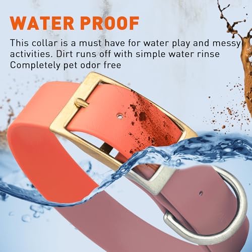 Viper Biothane Heavy Duty Waterproof Dog Collar Strong Coated Nylon Webbing w/Solid Brass Hardware Odor-Proof Easy to Clean High Performance Fits Small Medium or Large Dogs, Coral