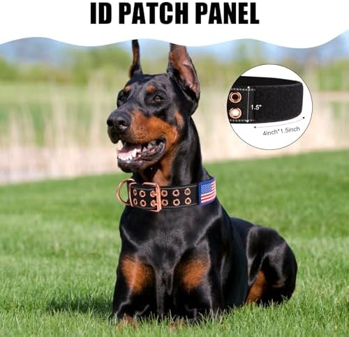 Heavy Duty Dog Collar for Medium Large Dogs,Black,Medium