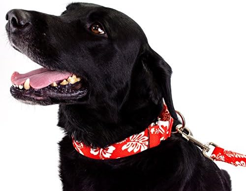 Country Brook Petz - Red Hawaiian Everyday Dog Leash - Summer Breeze Collection Featuring Sunny Designs (4 Foot, 1 Inch Wide)