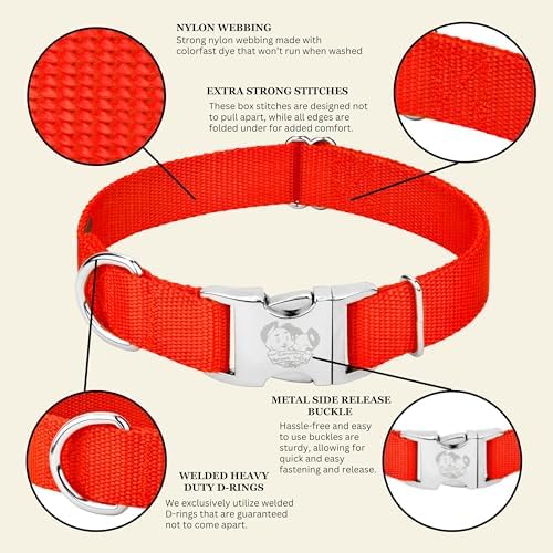 Country Brook Petz - Premium Nylon Dog Collar with Metal Buckle for Small Medium Large Breeds - 30+ Colors (Extra Large, 1 Inch, Hot Orange)