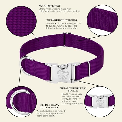 Country Brook Petz - Premium Nylon Dog Collar with Metal Buckle for Small Medium Large Breeds - 30+ Colors (Small, 3/4 Inch, Purple)
