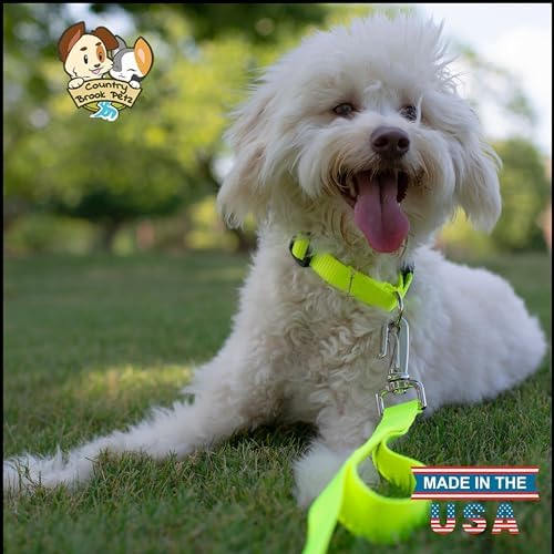 Country Brook Petz - Everyday Nylon Dog Collar for Large, Medium, and Small Dogs and Puppies - for Everyday Use in 30+ Colors (Extra Small, 3/8 Inch Wide, Hot Yellow)