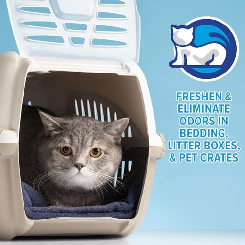 Pet Stain + Odor Eliminator - 1 Gallon Bottle (2 Pack) - Professional Strength Advanced Formula Tackles Biological Messes on Fabric, Carpet, and More
