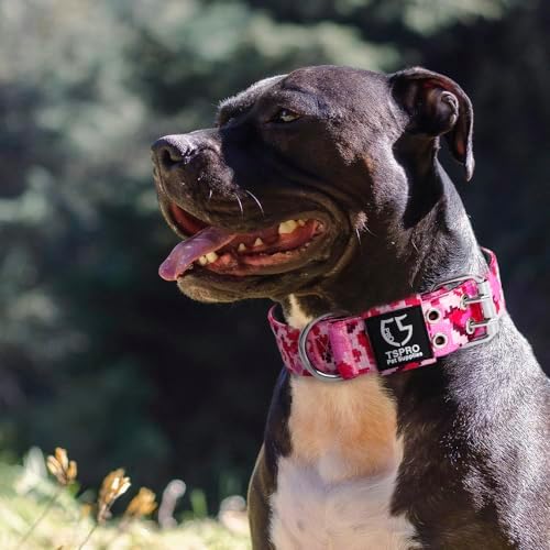 TSPRO Heavy-Duty Tactical Dog Collar with Patch, Large & Extra Large Dogs
