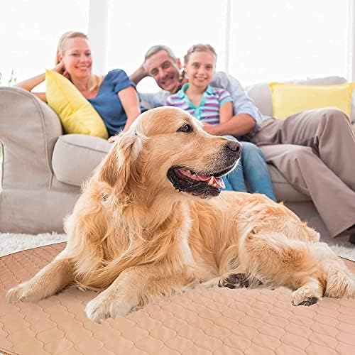 EZwhelp Reusable Dog Pee Pad, Washable Waterproof Round 60 in Mat, 1 Pack