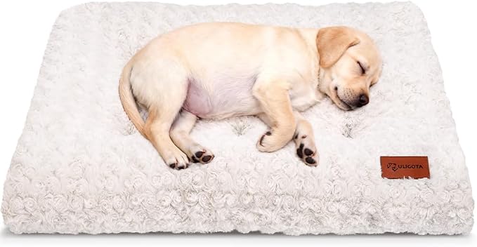 Dog Bed Crate Pad - Rosette Pattern White Velvet Pet Bed Anti-Slip Comfy Kennel Pad for Crates Rosette White S