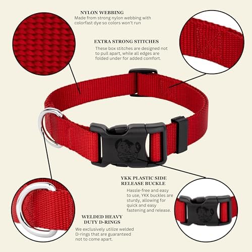 Country Brook Petz - Everyday Nylon Dog Collar for Large, Medium, and Small Dogs and Puppies - for Everyday Use in 30+ Colors (2XS, 3/8 Inch Wide, Red)