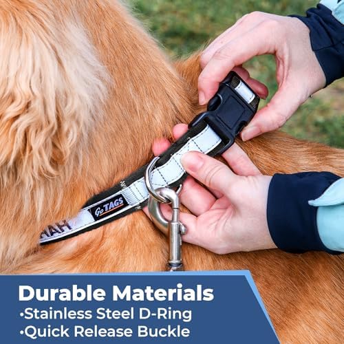 GoTags Reflective Dog Collar Personalized, Custom Embroidered Pet Name and Number, Premium Nylon Colorful for Girl and Boy Dogs, Small Medium and Large Adjustable Sizing