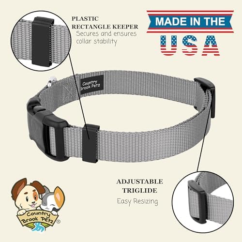 Country Brook Petz - Everyday Nylon Dog Collar for Large, Medium, and Small Dogs and Puppies - for Everyday Use in 30+ Colors (3XS, 3/8 Inch Wide, Silver)