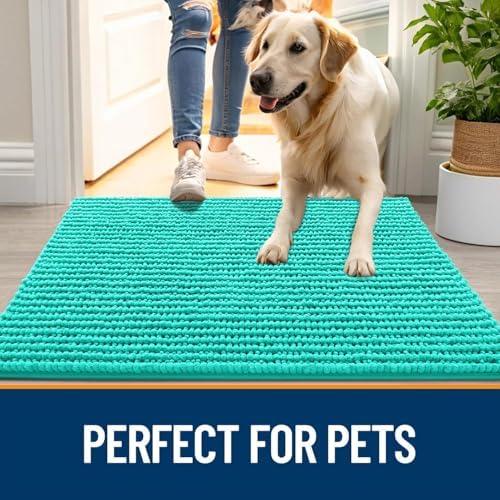 OLANLY Dog Door Mat for Muddy Paws 24x16, Extra Absorbent Chenille Mud Mat