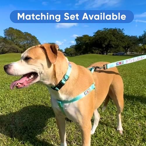 Pawtitas Personalized Dog Collar Small Dog Collar Embroider with Name Phone Number Puppy Collar Adjustable Customized Collar for Small Dogs Breeds Puppy Grey Dog Collar