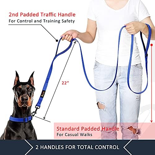 Plutus Pet Double Handle Dog Leash, 4 FT Long, for Medium Large Dogs