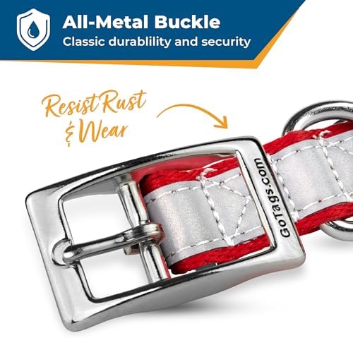GoTags Embroidered Reflective Dog Collars with Metal Buckle, Personalized Dog Collar Custom Embroidered with Pet Name and Phone Number, Sizes for Puppy and Dogs Extra Small, to Medium and Large