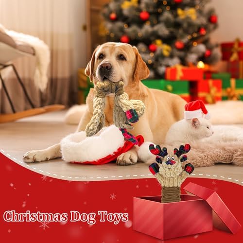 Squeaky Dog Toys, Stuffed Large Dog Toys to Keep Them Busy, Interactive Plush Chew Toys with Crinkle Paper, Tough Pet Animal Toys for Small Medium Large (Red C)