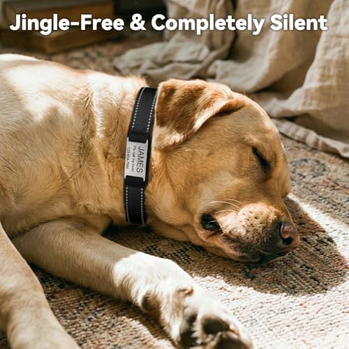 Joytale Personalized Dog Collar with Name Plate Built-in for Small Dogs