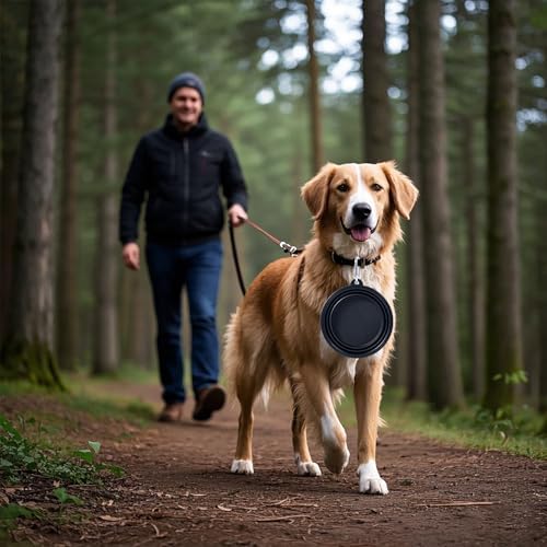 Dog Bowl Pet Collapsible Bowls, 2 Pack Collapsible Dog Water Bowls for Cats Dogs, Portable Pet Feeding Watering Dish for Walking Parking Traveling with 2 Carabiners (Black+Pink, Medium)