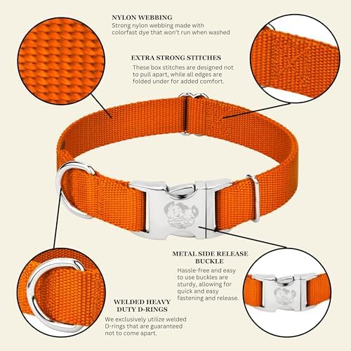 Country Brook Petz - Premium Nylon Dog Collar with Metal Buckle for Small Medium Large Breeds - 30+ Colors (Small, 3/4 Inch, Orange)