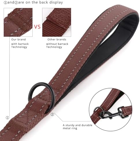 Plutus Pet Double Handle Dog Leash, 6 FT Long, for Medium Large Dogs